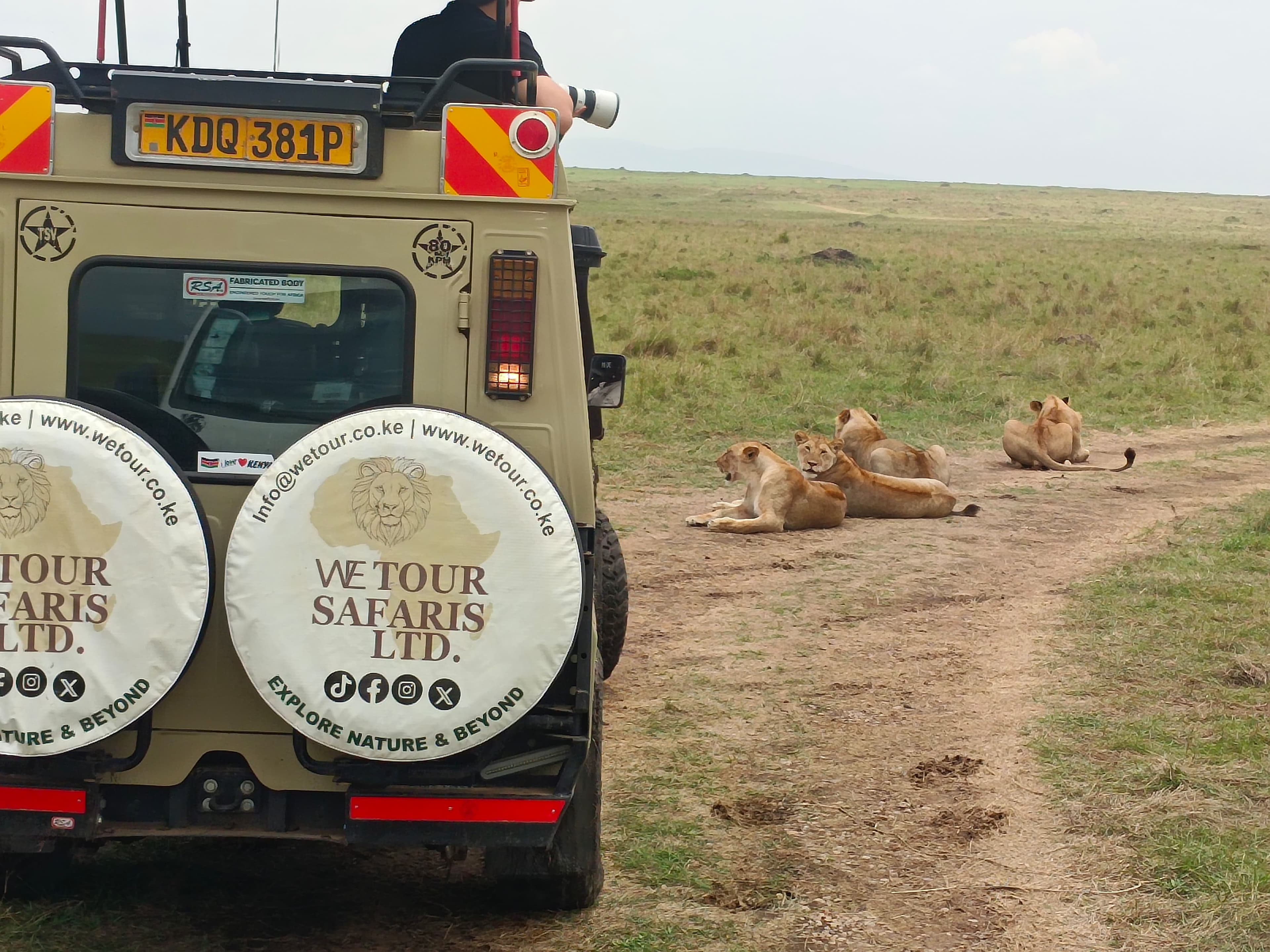 Guest photographing lions from the roof hatch